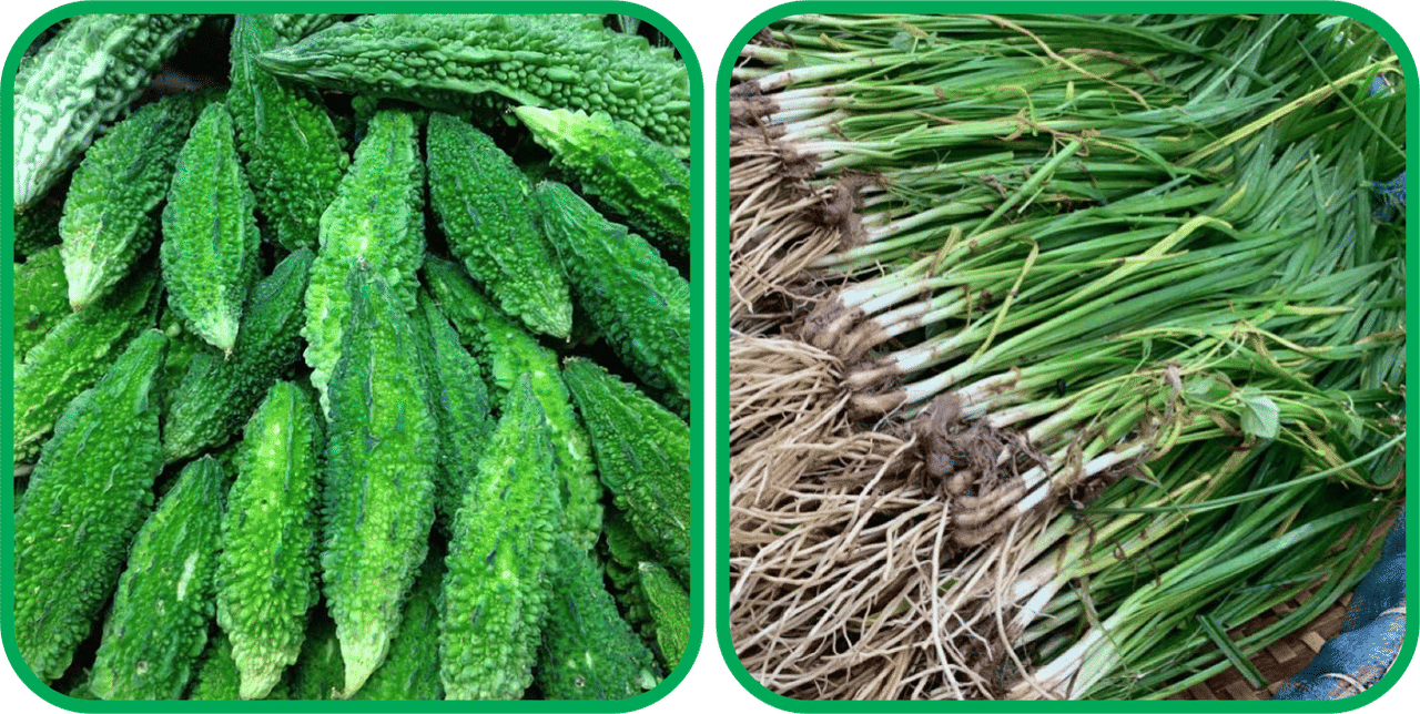 Aero Seeds Garlic Chives ( 50 Seeds) And Bitter Gourd ( 30 Seeds) Vegetable Seeds Pack Aero Seeds Garlic Chives ( 50 Seeds) And Bitter Gourd ( 30 Seeds) Vegetable Seeds Pack