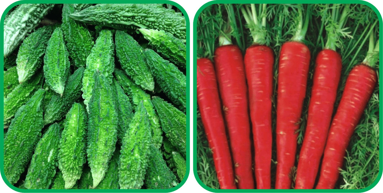 Aero Seeds Red Carrot ( 200 Seeds) And Bitter Gourd ( 30 Seeds) Vegetable Seeds Pack Aero Seeds Red Carrot ( 200 Seeds) And Bitter Gourd ( 30 Seeds) Vegetable Seeds Pack