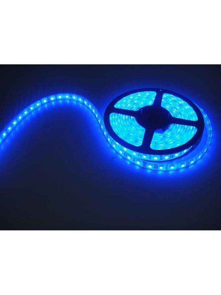     			ZESTRUM Blue 5M String Light ( Pack of 1 )