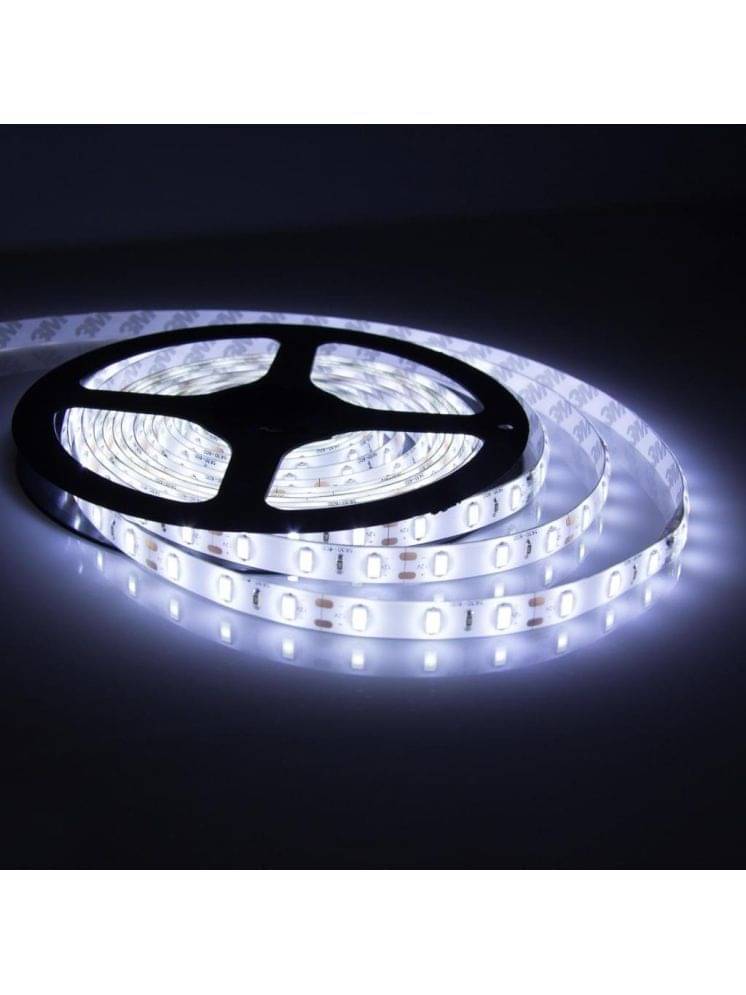     			ZESTRUM White 4M String Light ( Pack of 1 )