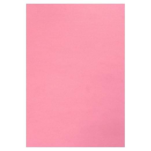     			Eclet A3 Color Paper 60 Sheets (LIGHT PINK) Premium Colour 180 GSM Pack for Copy Printing, DIY Art & Craft, Projects, Decoration, Other Office Printing.