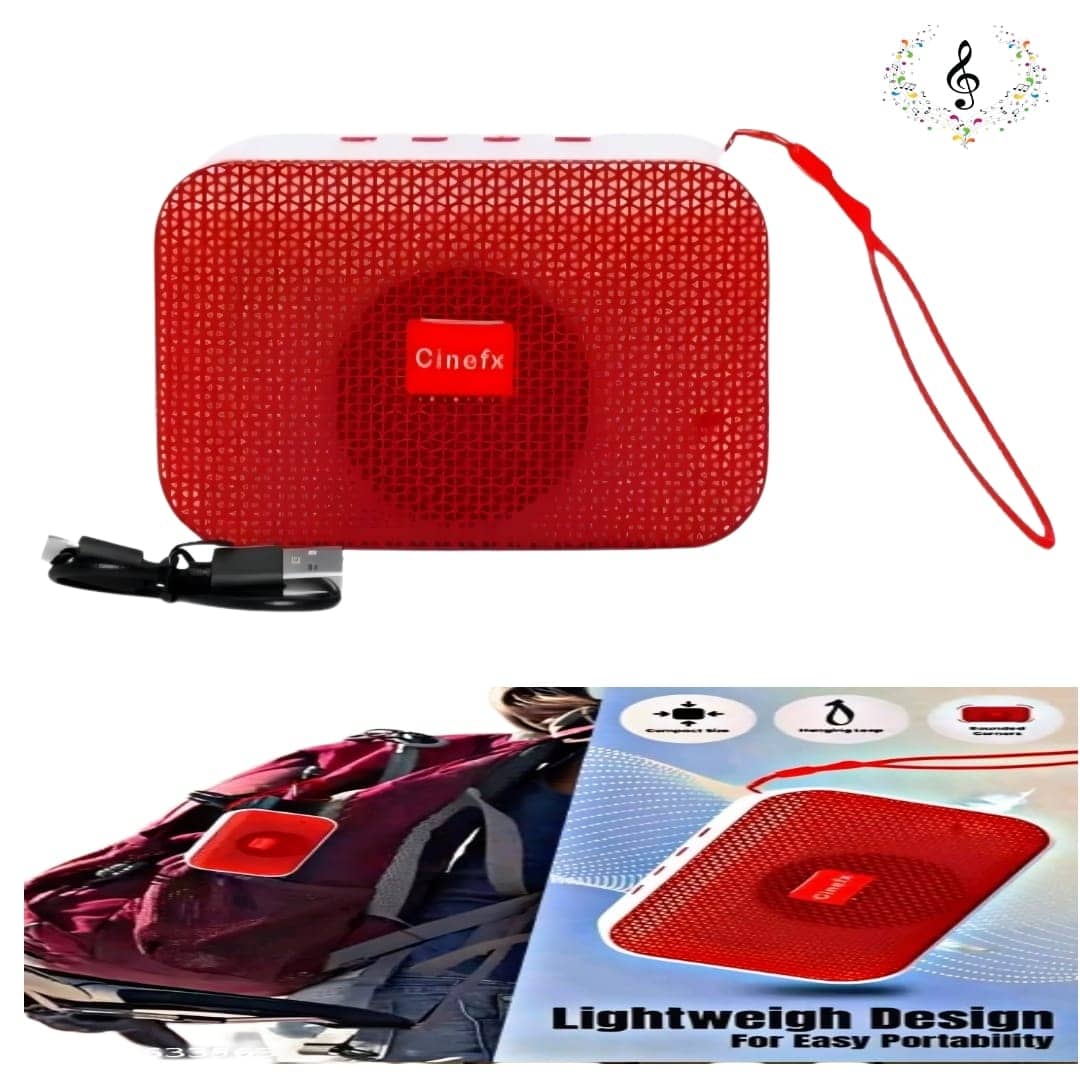 Philips BT120 20 Watt Portable Bluetooth Speaker