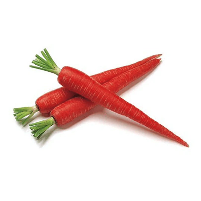 PARTHVA SEEDS Organic Red Carrot Vegetable ( 150 Seeds ) PARTHVA SEEDS Organic Red Carrot Vegetable ( 150 Seeds )