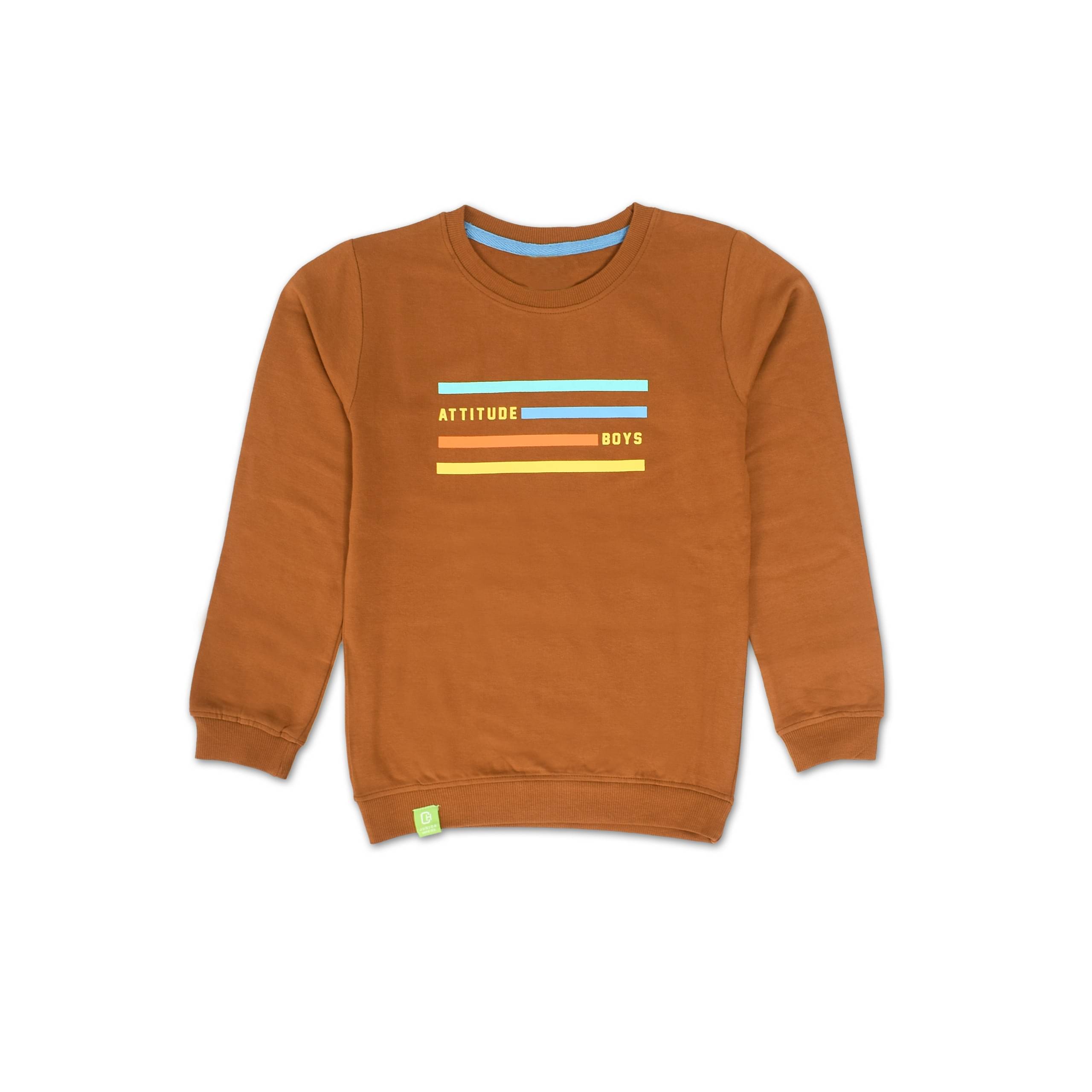     			COLOR HUNT Pack of 1 Boys Cotton Sweatshirt ( Brown )