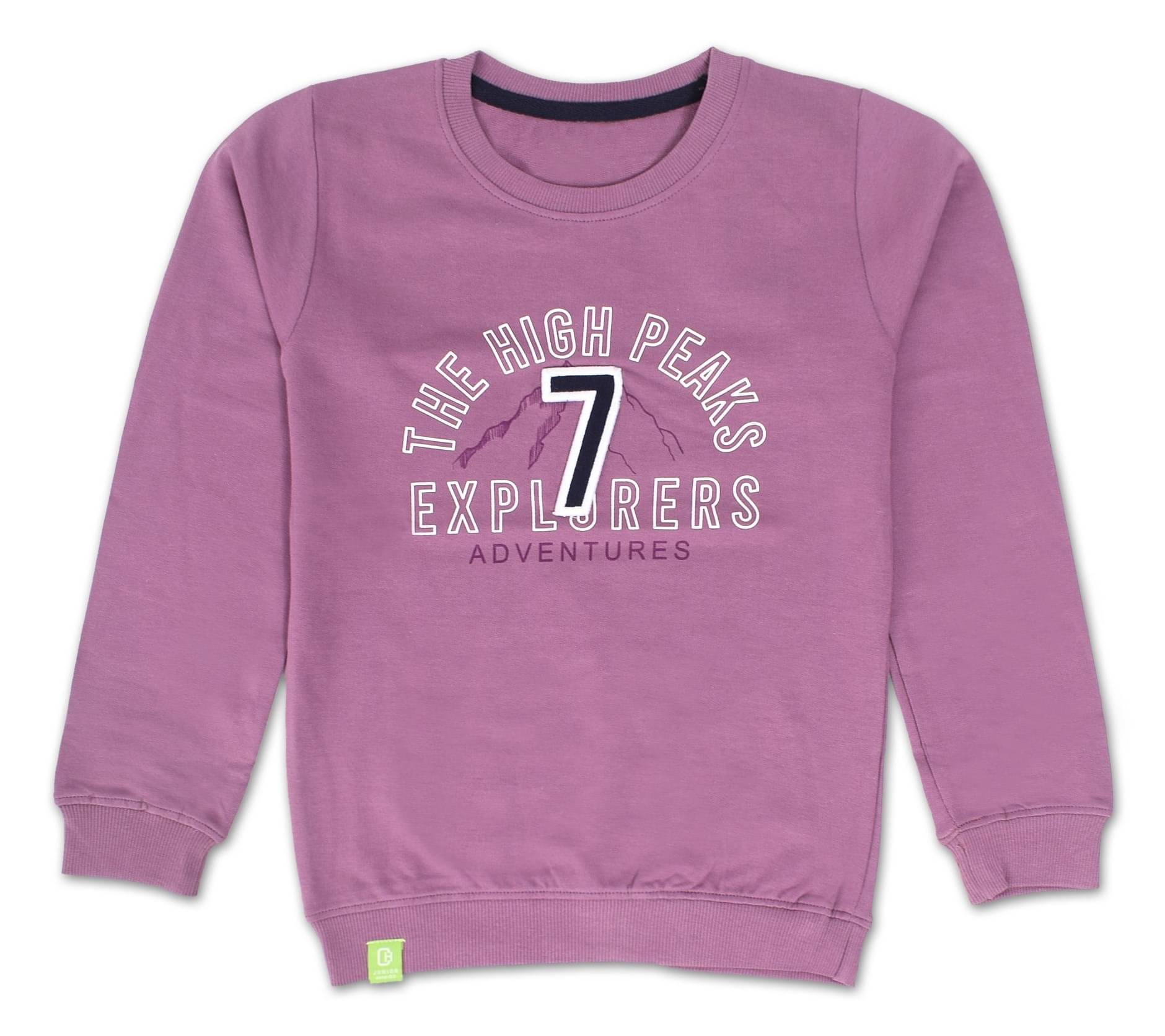     			COLOR HUNT Pack of 1 Boys Cotton Sweatshirt ( Purple )