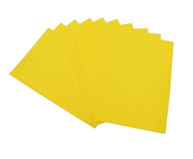     			Eclet A3 Color Paper 60 Sheets (LEMON YELLOW) Premium Colour 180 GSM Pack for Copy Printing, DIY Art & Craft, Projects, Decoration, Other Office Printing.