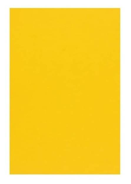     			freedy A3 Color Paper 40 Sheets (Yellow) Premium Colour 180 GSM Pack for Copy Printing, DIY Art & Craft, Projects, Decoration, Other Office Printing.