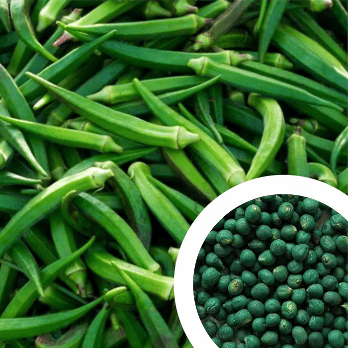     			Vedhahi Organic Lady Finger Vegetable ( 60 Seeds )