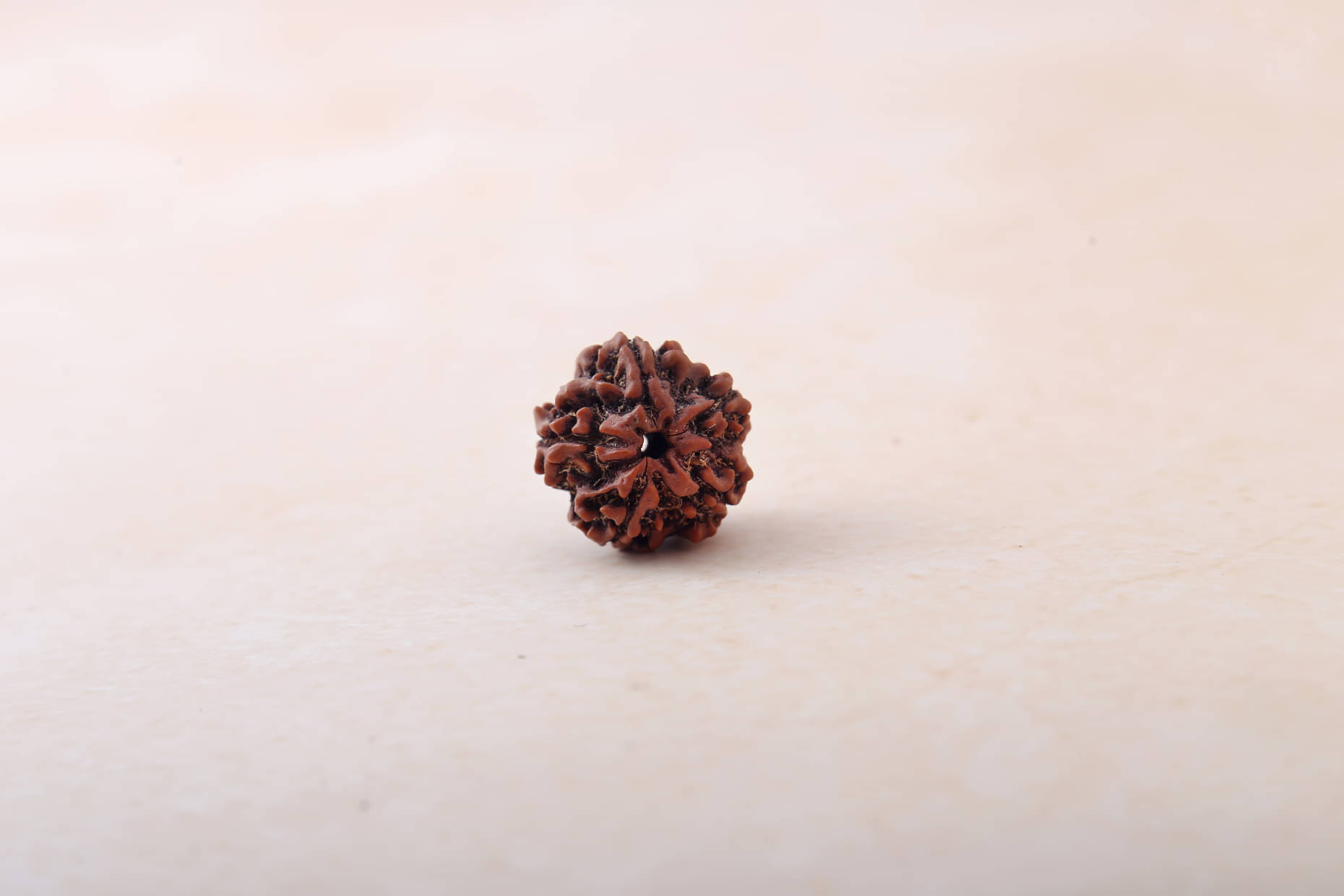     			yogii 5 Mukhi Rudraksha Bead ( Pack of 1 )