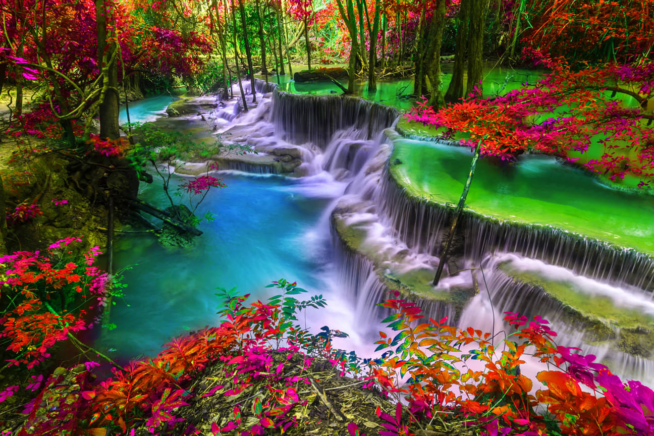     			Manas Nature Wallpaper ( 60 x 90 ) cm ( Pack of 1 )
