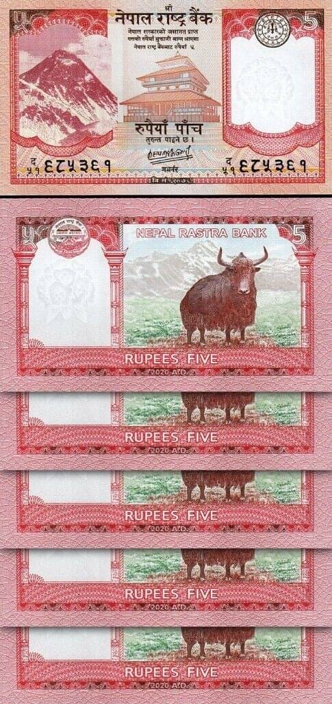 Nepal 5 Rupees Consecutive Serial 5 Banknotes in Top Grade Gem UNC Nepal 5 Rupees Consecutive Serial 5 Banknotes in Top Grade Gem UNC