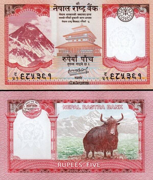     			Nepal 5 Rupees Top Grade Beautiful Gem UNC Banknote