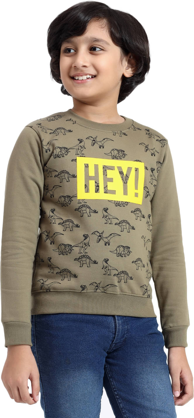     			Hiflyers Pack of 1 Boys Cotton Blend Sweatshirt ( Green )