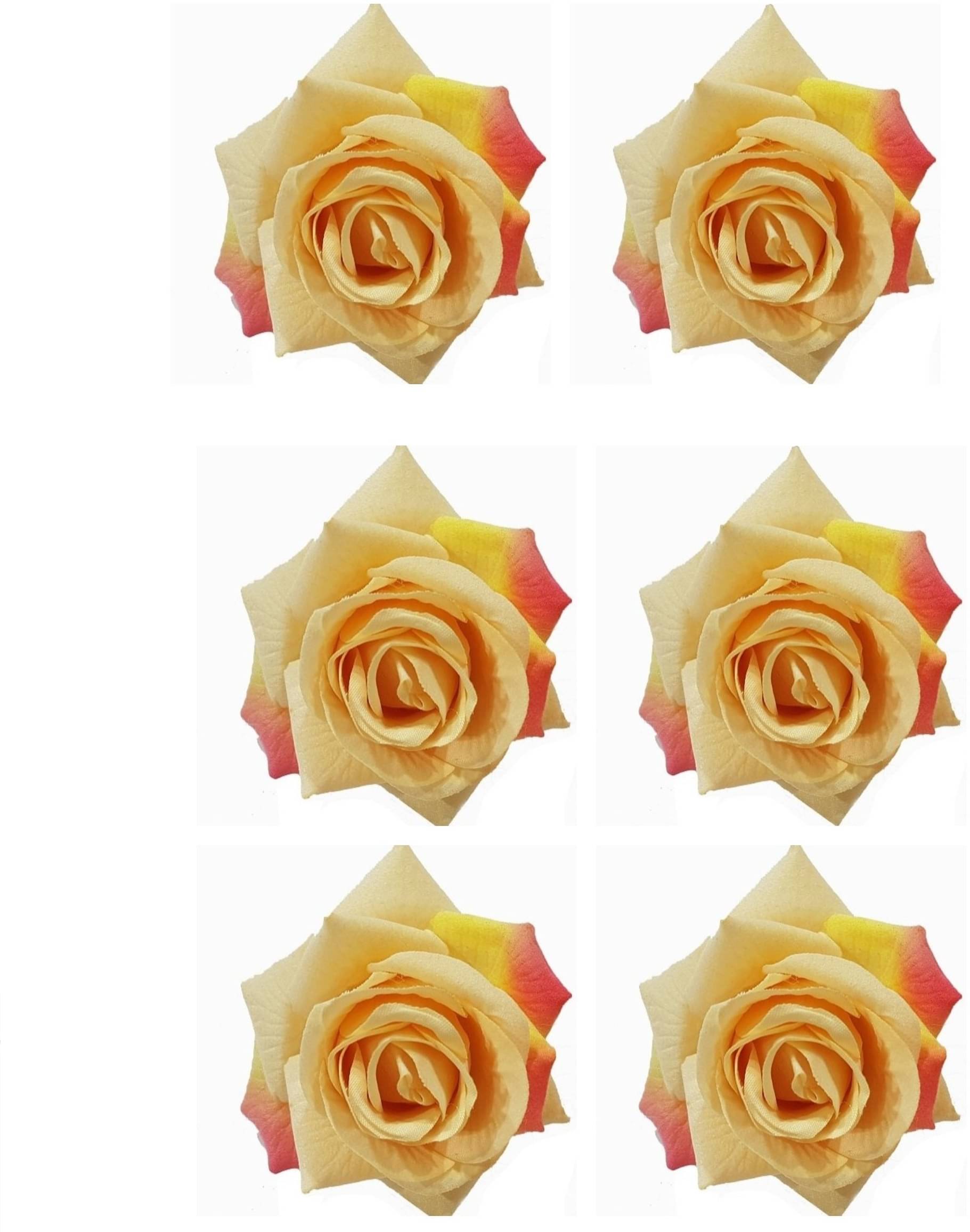     			Rhosyn Beige Women's Hair Clip ( Pack of 6 )