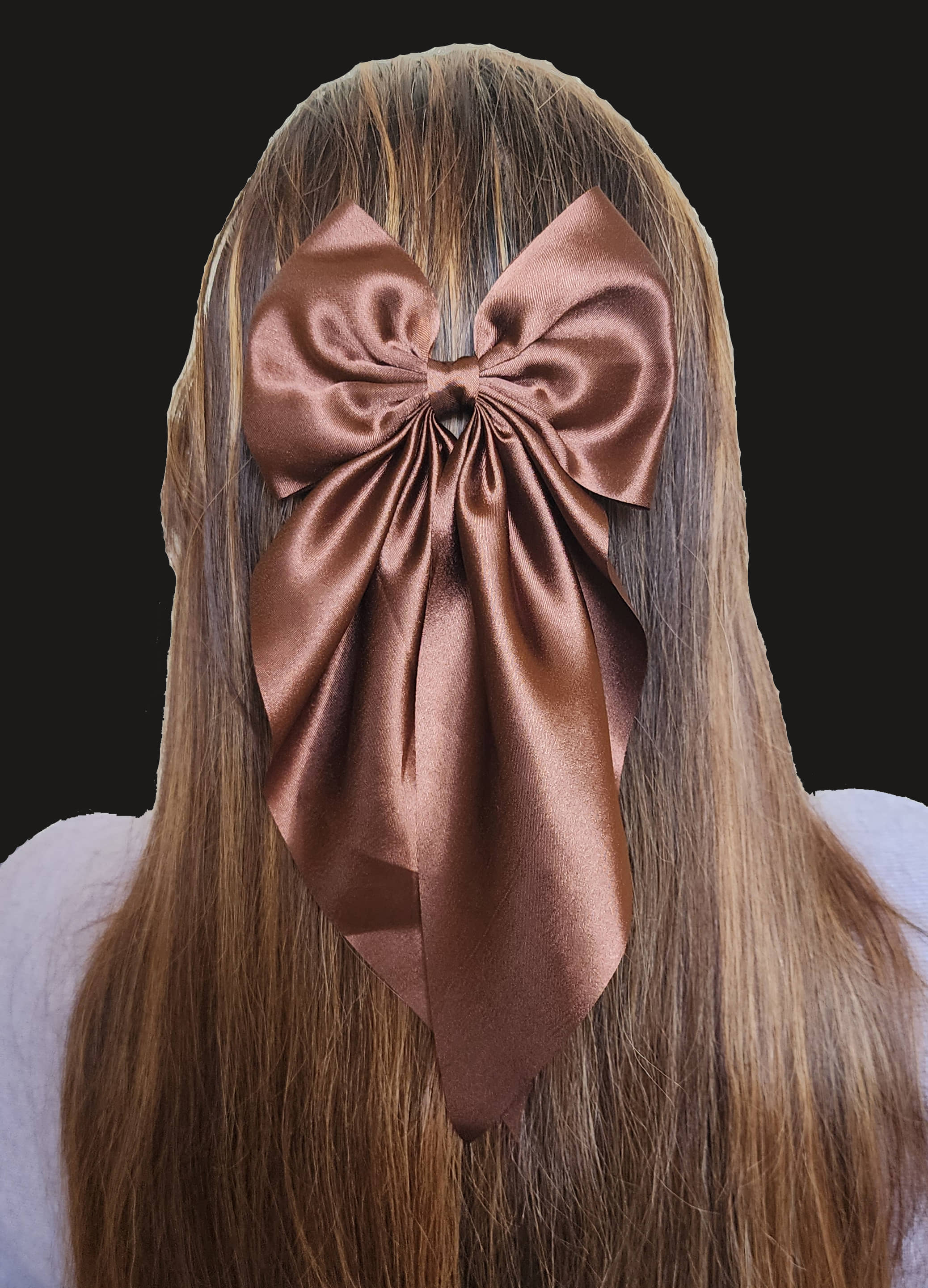 Rhosyn Brown Women's Hair Accessory Set ( Pack of 1 ) - Jewellery Sets | Buy online on ZillyBuy