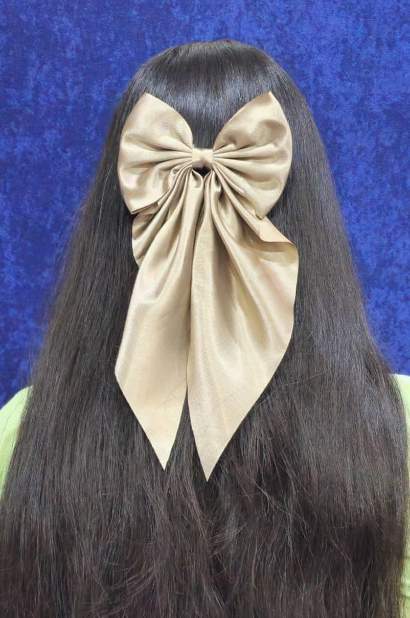     			Rhosyn Brown Women's Hair Clip ( Pack of 1 )