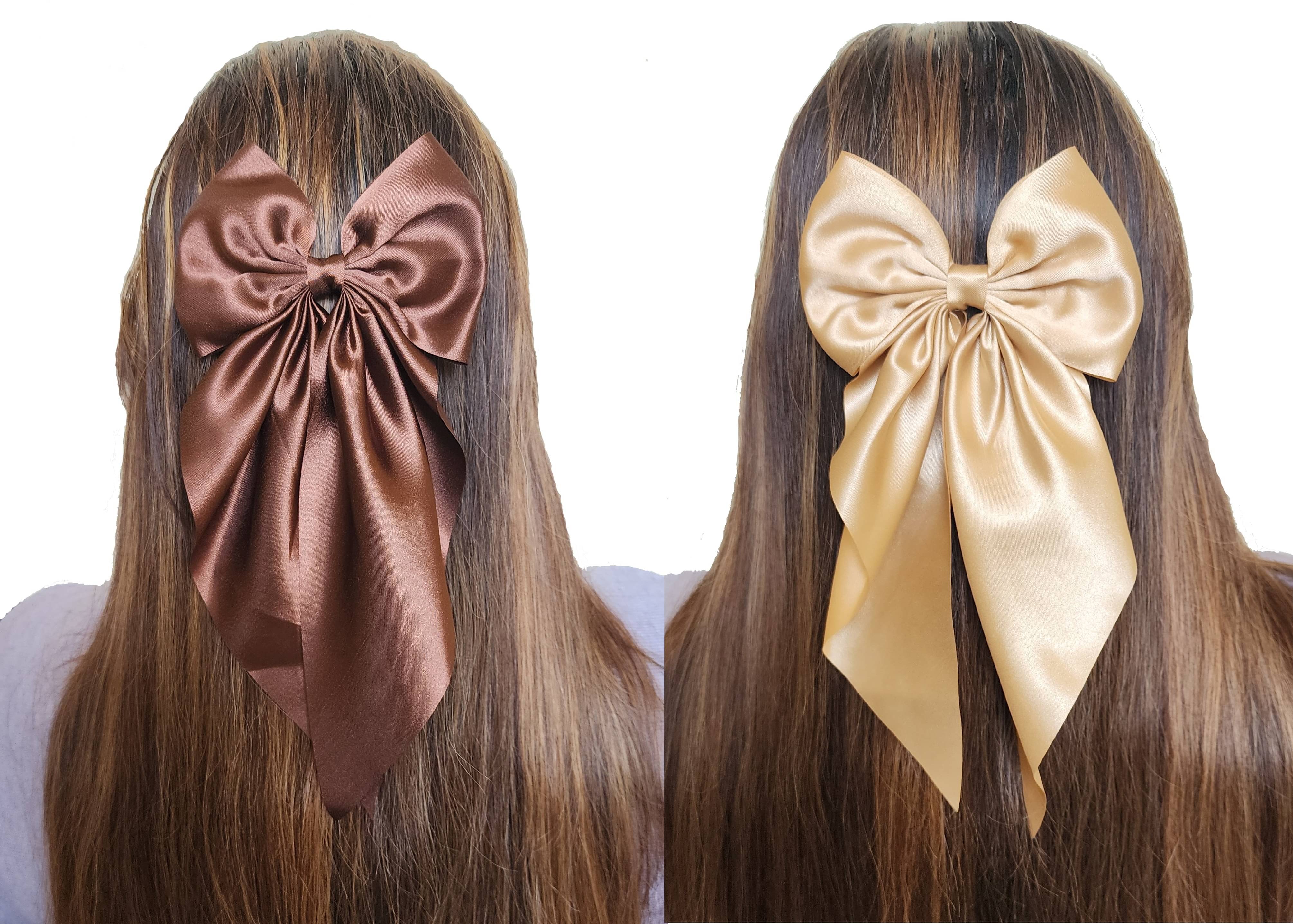     			Rhosyn Brown Women's Hair Clip ( Pack of 2 )