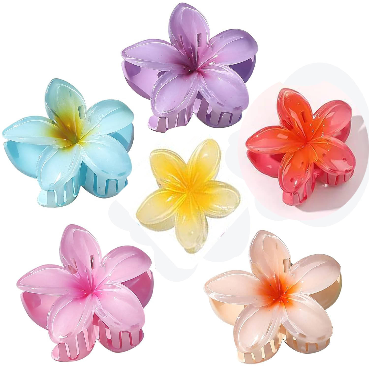     			Rhosyn Multi Women's Hair Clip ( Pack of 6 )