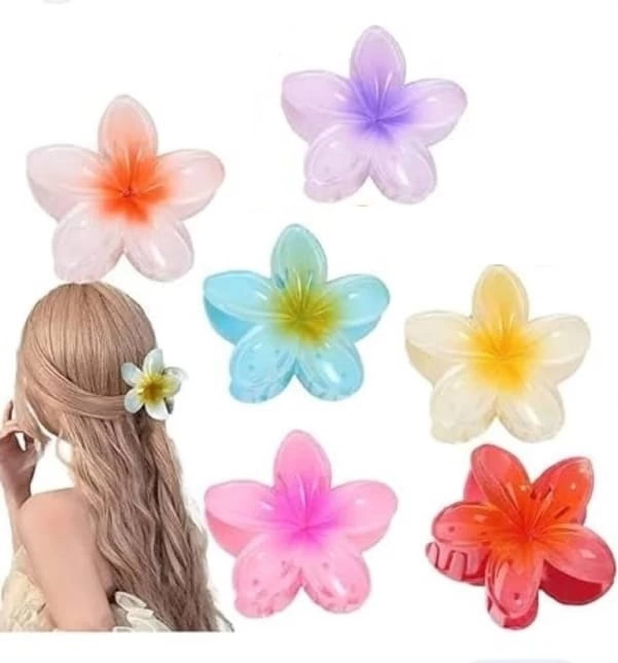     			Rhosyn Multi Women's Hair Clip ( Pack of 6 )