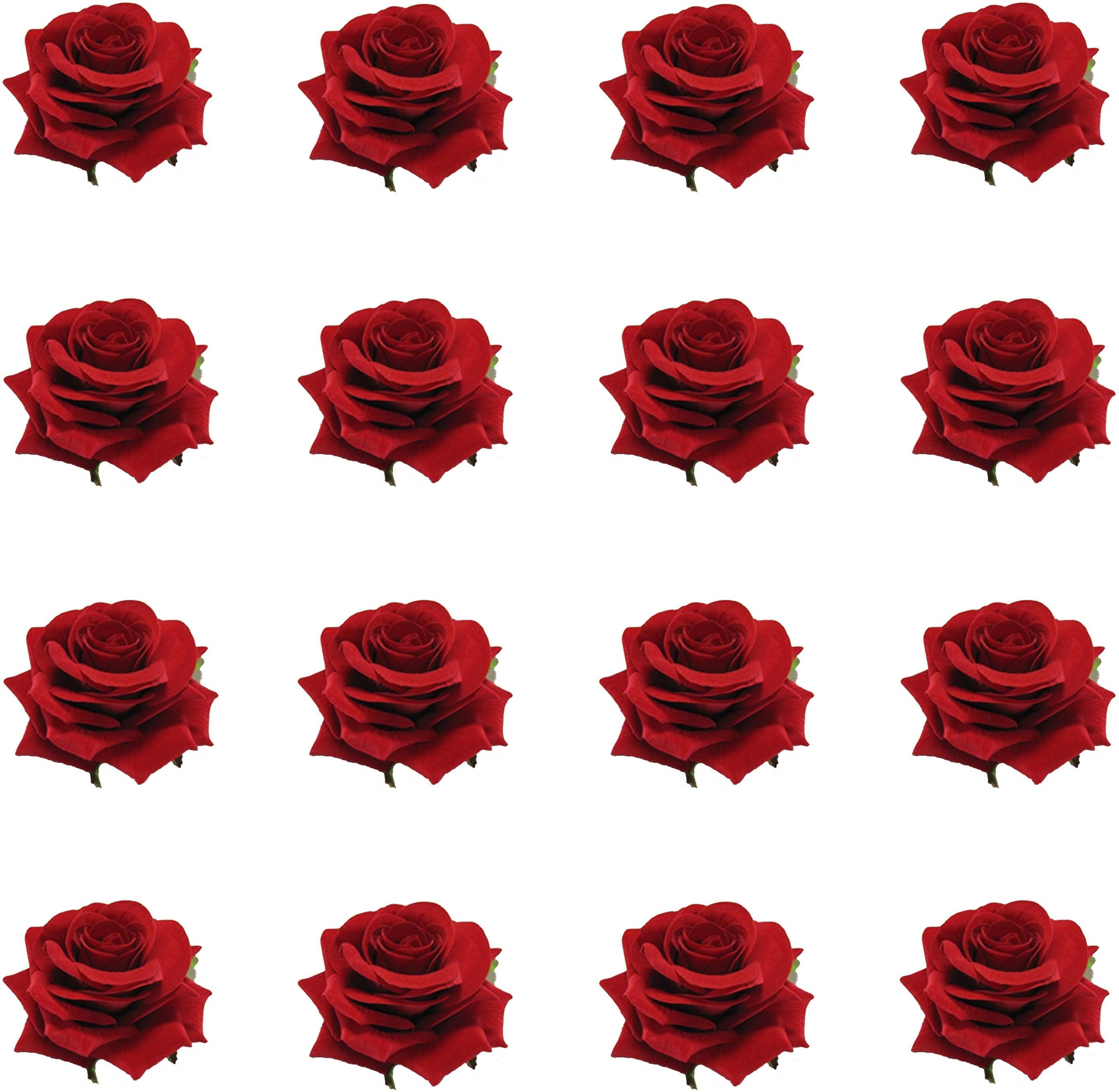     			Rhosyn Red Women's Hair Clip ( Pack of 16 )