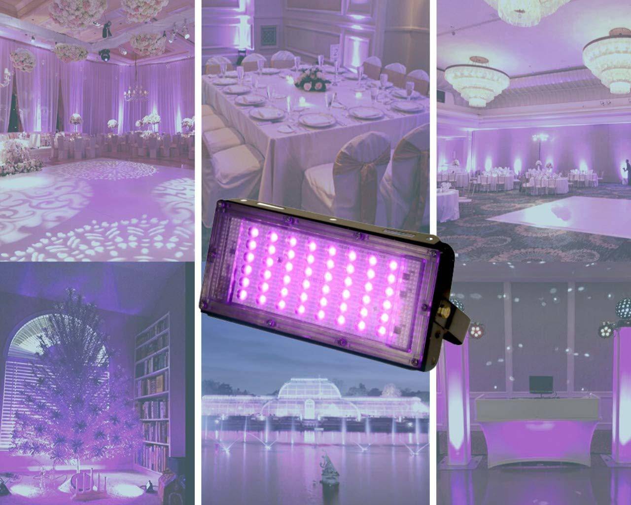     			Spark World Pink 1Mtr Projector Light ( Pack of 1 )