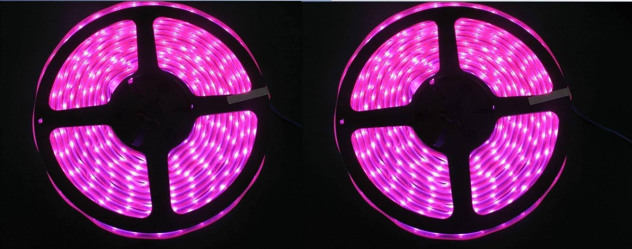     			Spark World Pink 6M LED Strip ( Pack of 2 )