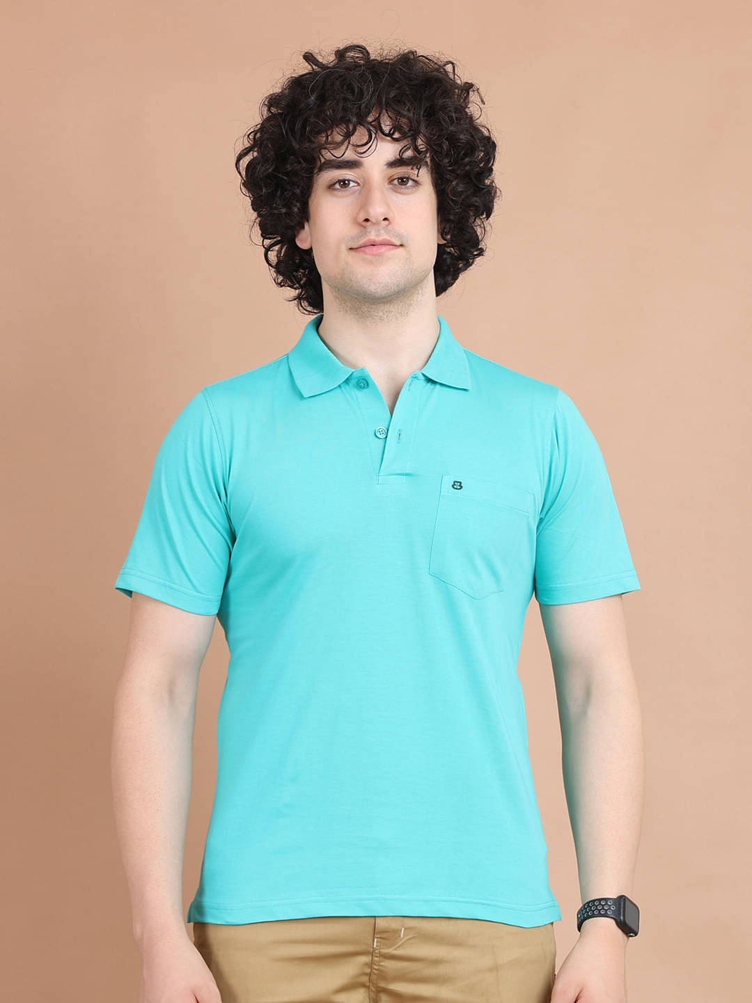     			BERRYBLUES 100% Cotton Regular Fit Solid Half Sleeves Men's V-Neck T-Shirt - Sea Green ( Pack of 1 )