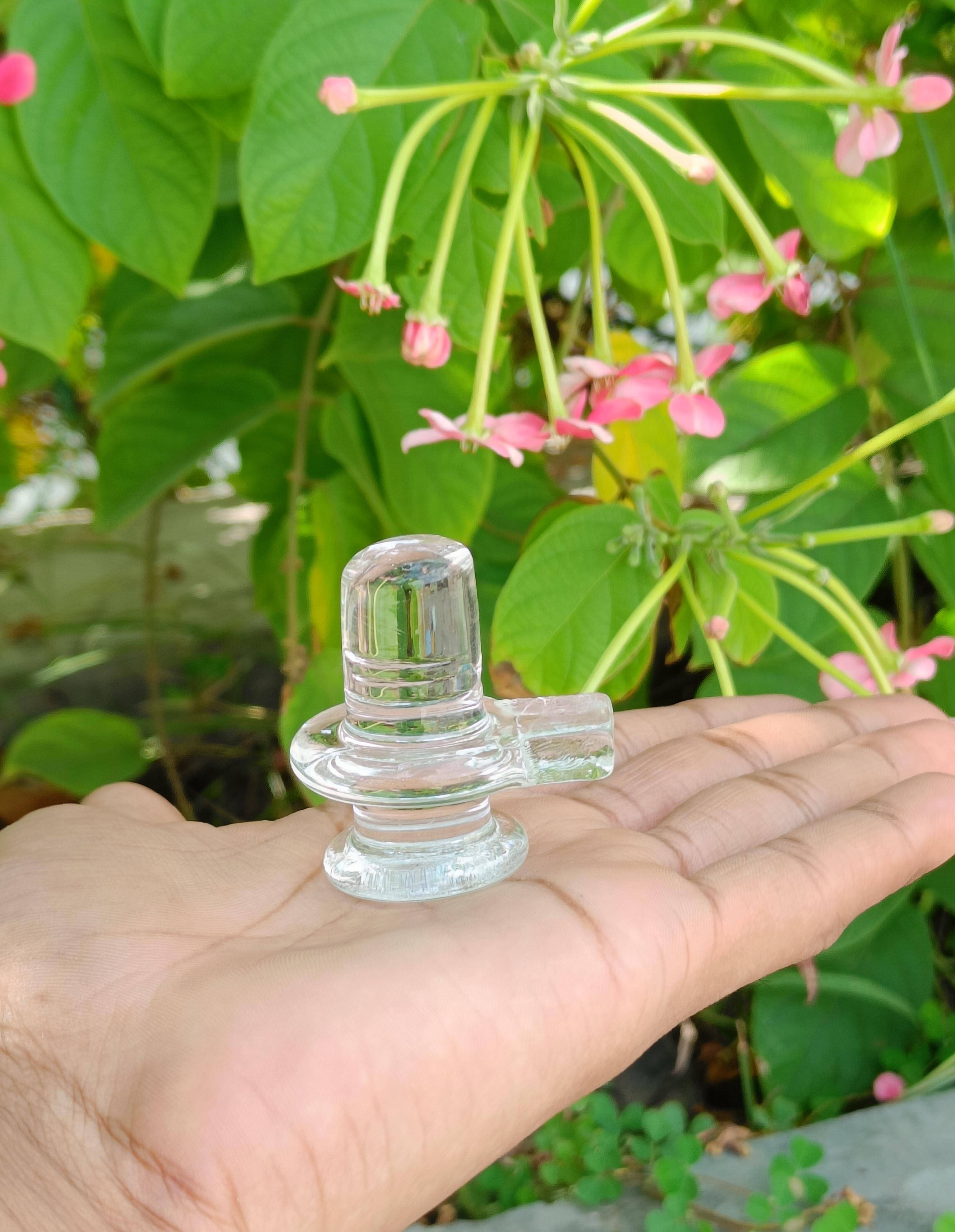     			Basukiya Polyresin Lord Shiva Idol ( 15 cm )
