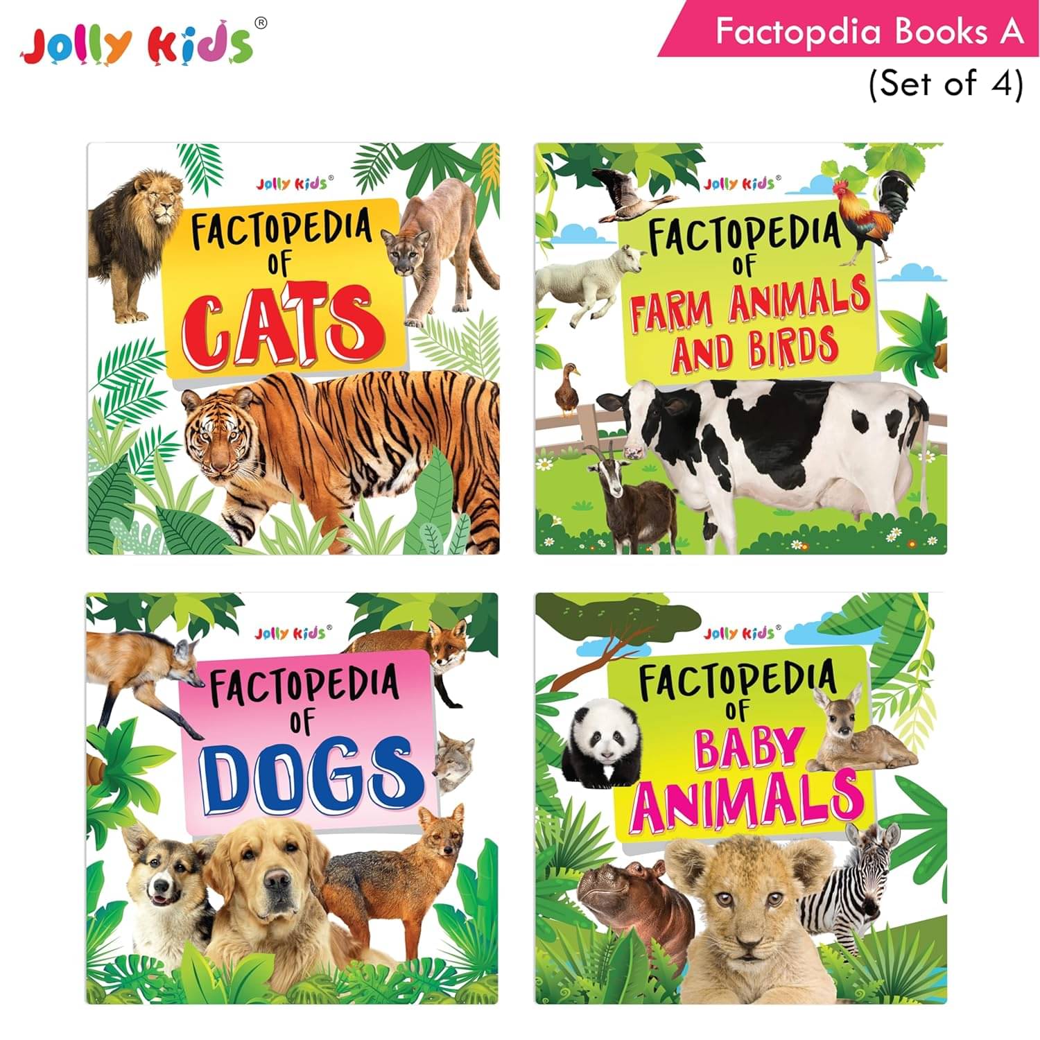     			Jolly Kids Factopedia Books A Set of 4 Aged 3-8 Years|Learning  About Cats-Farm Animals-Dogs-Baby Animals