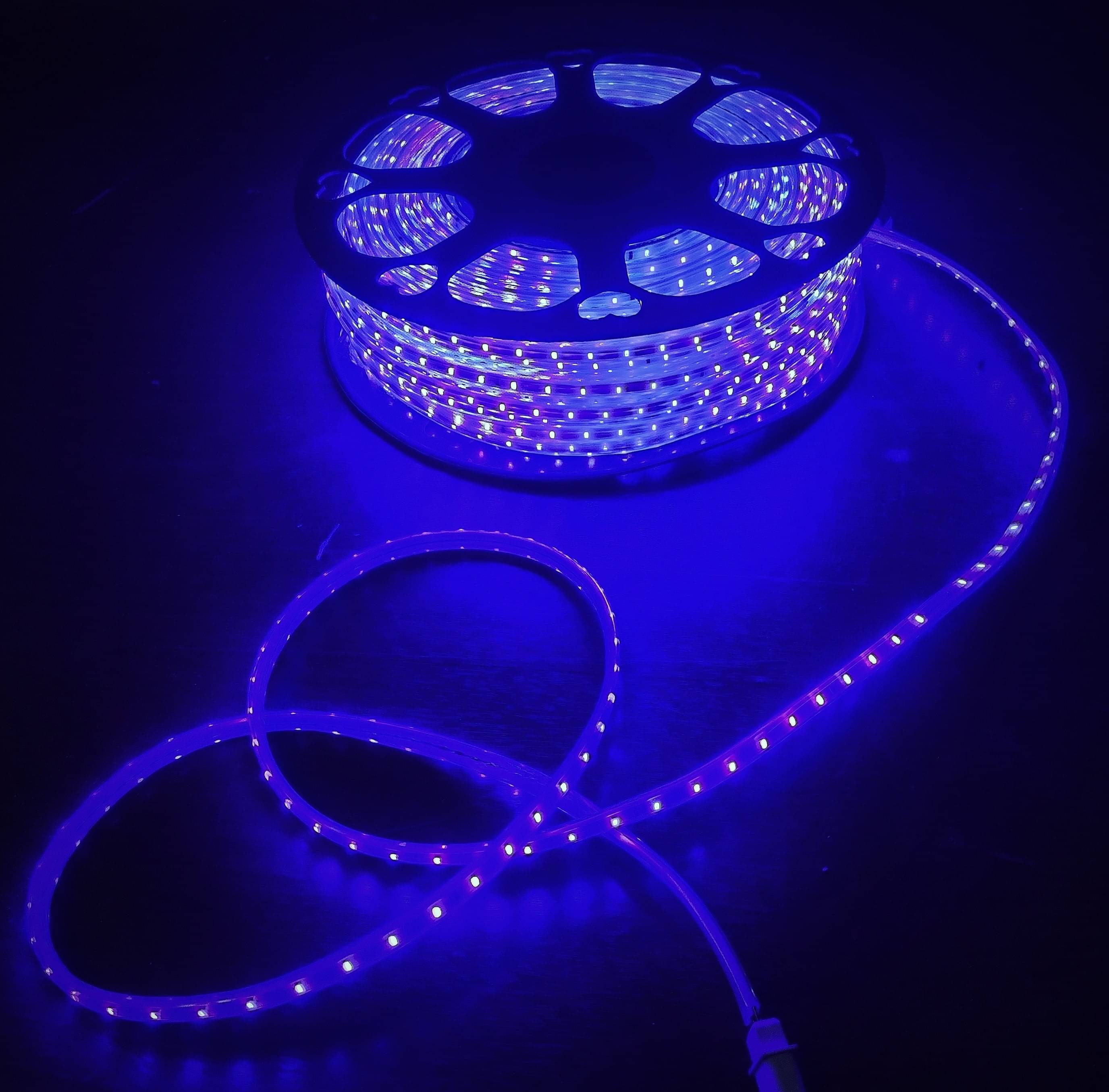     			Spark World Blue 5M LED Rope Light ( Pack of 1 )