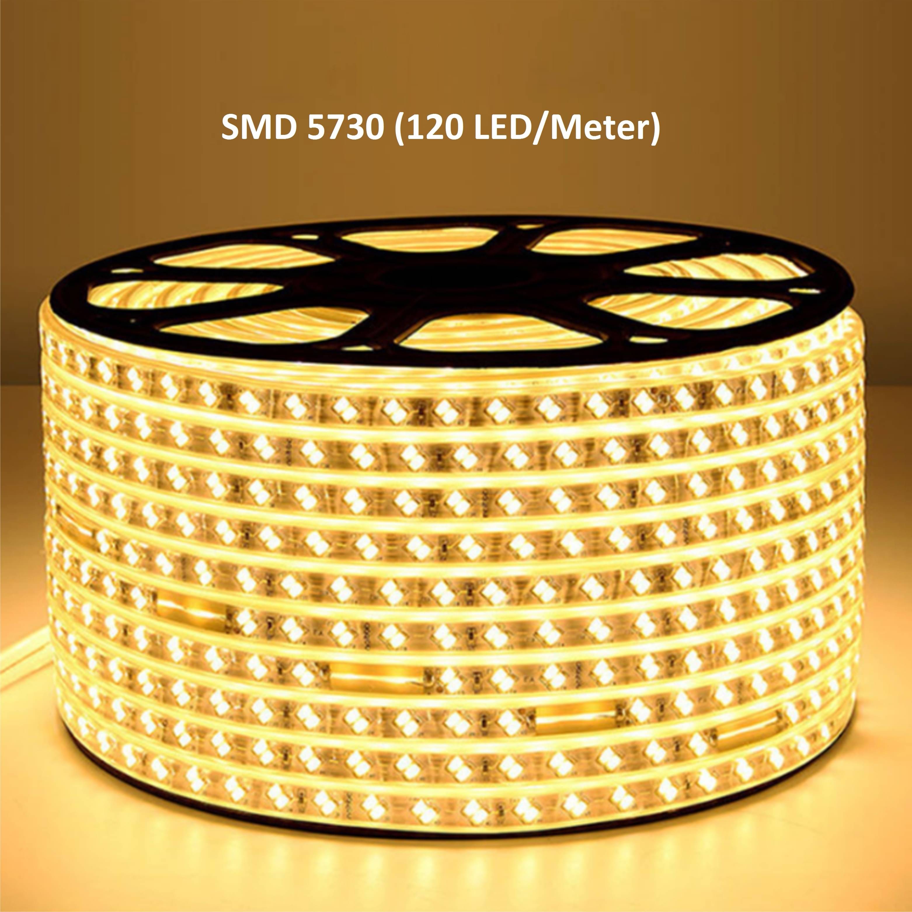     			Spark World Gold 4M LED Rope Light ( Pack of 1 )