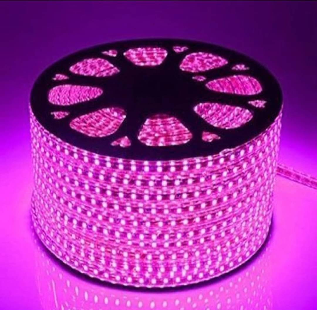     			Spark World Pink 25M LED Rope Light ( Pack of 1 )