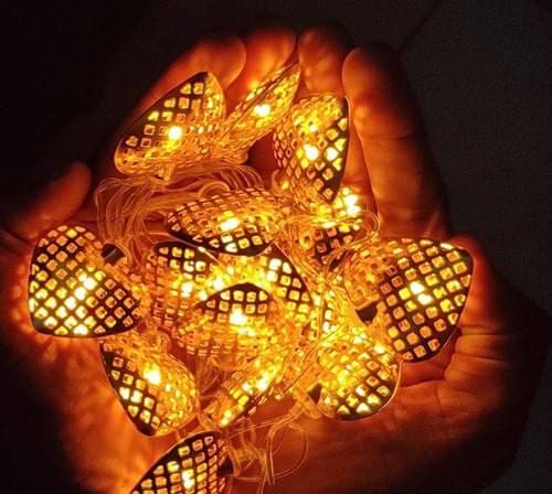     			Spark World Yellow 2Mtr String Light ( Pack of 1 )