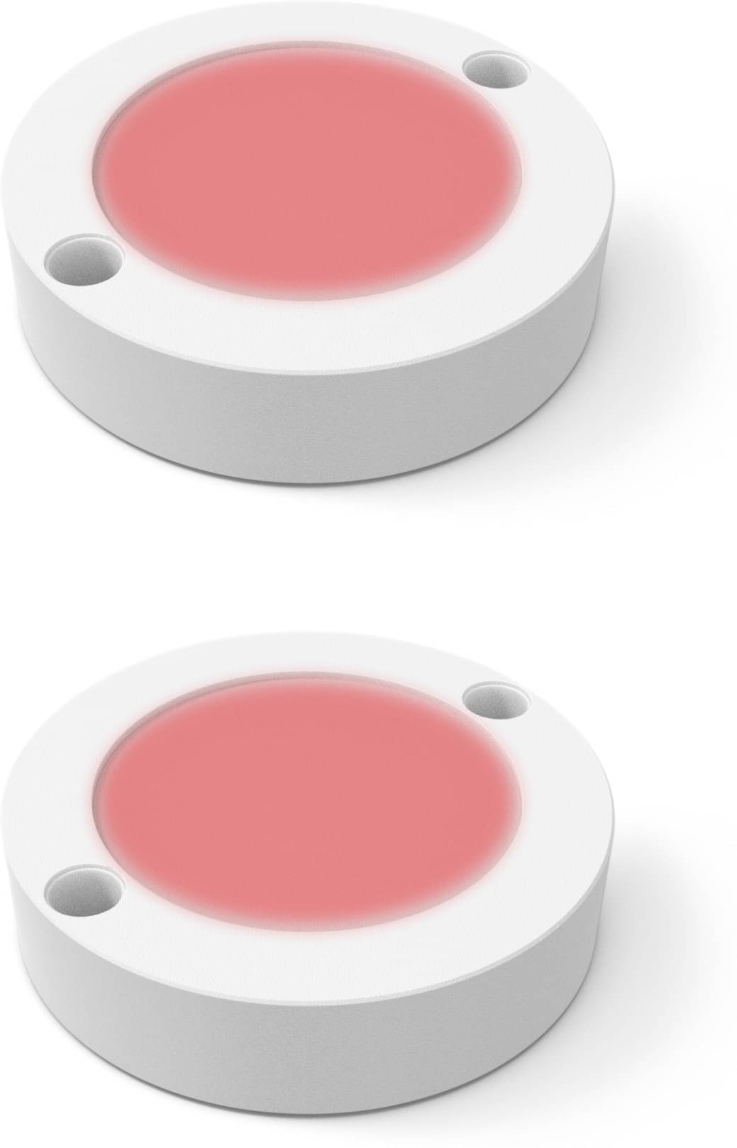     			ZESTRUM Ceiling Light - Pack of 2