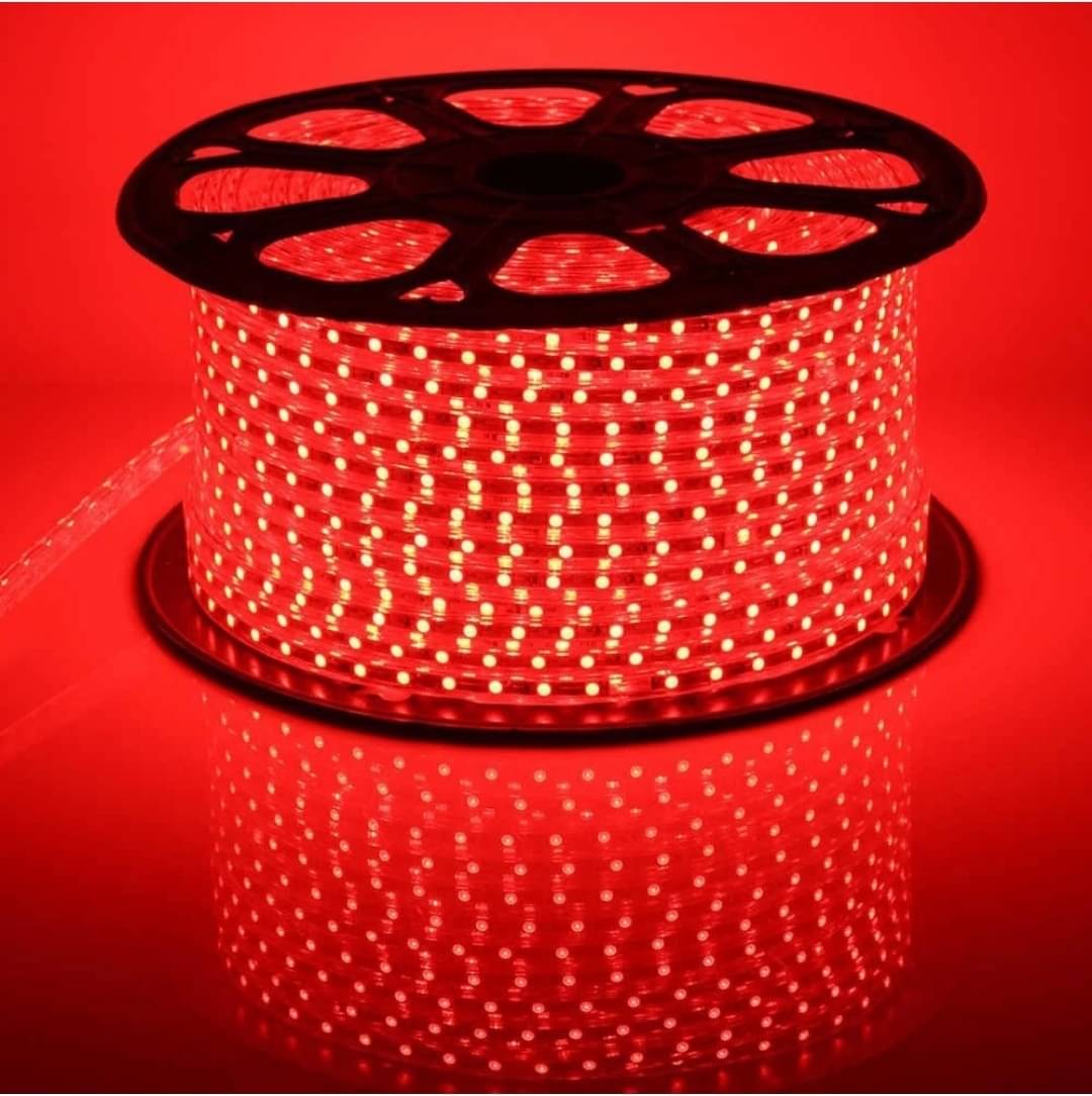     			ZESTRUM Red 10 Mtr LED Rope Light ( Pack of 1 )