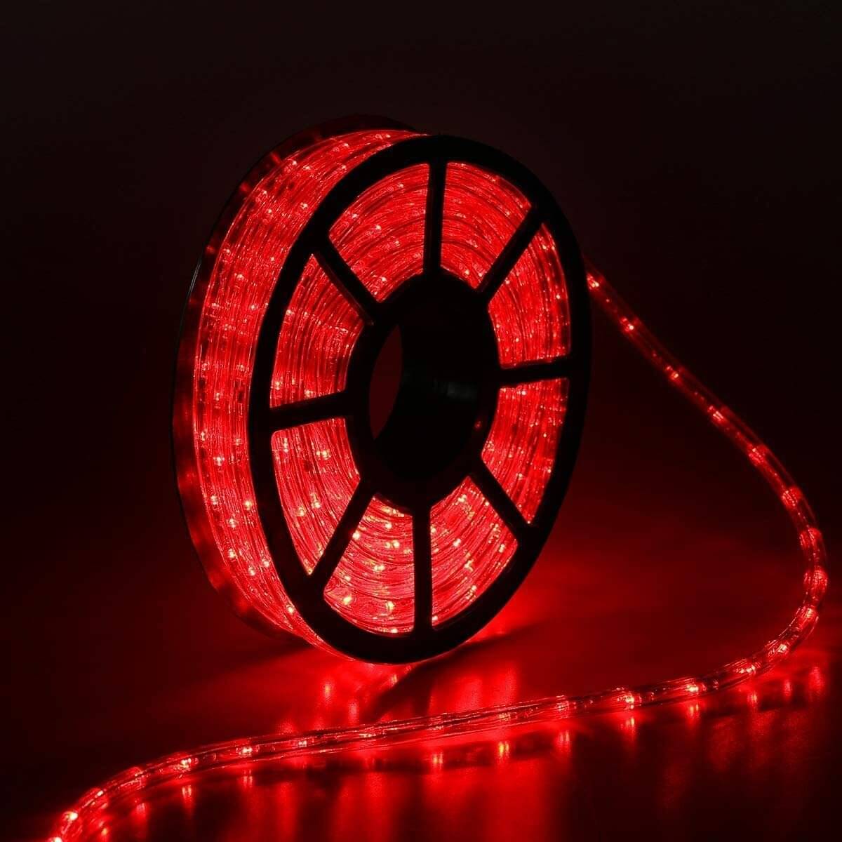     			ZESTRUM Red 10 Mtr LED Rope Light ( Pack of 1 )