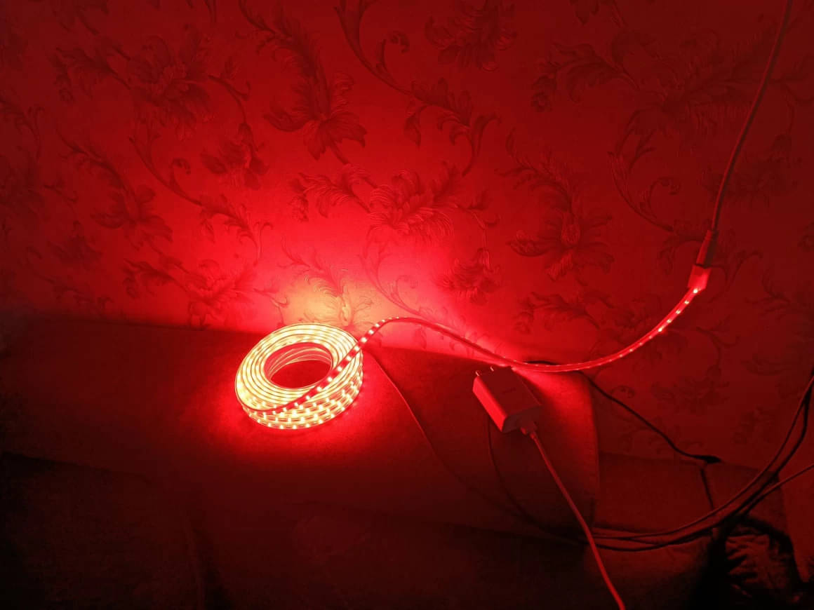     			ZESTRUM Red 3M LED Rope Light ( Pack of 1 )