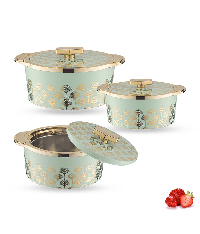 Trueware Florra Fine Plastic & Light Green Steel Thermoware Casserole ( Set of 3 , 3250 mL ) Trueware Florra Fine Plastic & Light Green Steel Thermoware Casserole ( Set of 3 , 3250 mL )
