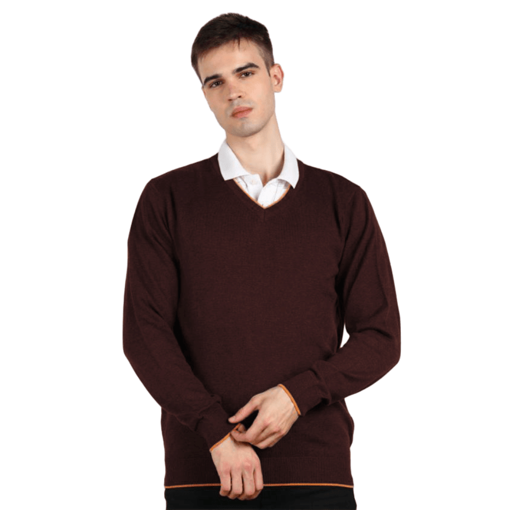 Reoutlook Woollen V-Neck Men's Full Sleeves Pullover Sweater - Coffee ( Pack of 1 ) Reoutlook Woollen V-Neck Men's Full Sleeves Pullover Sweater - Coffee ( Pack of 1 )