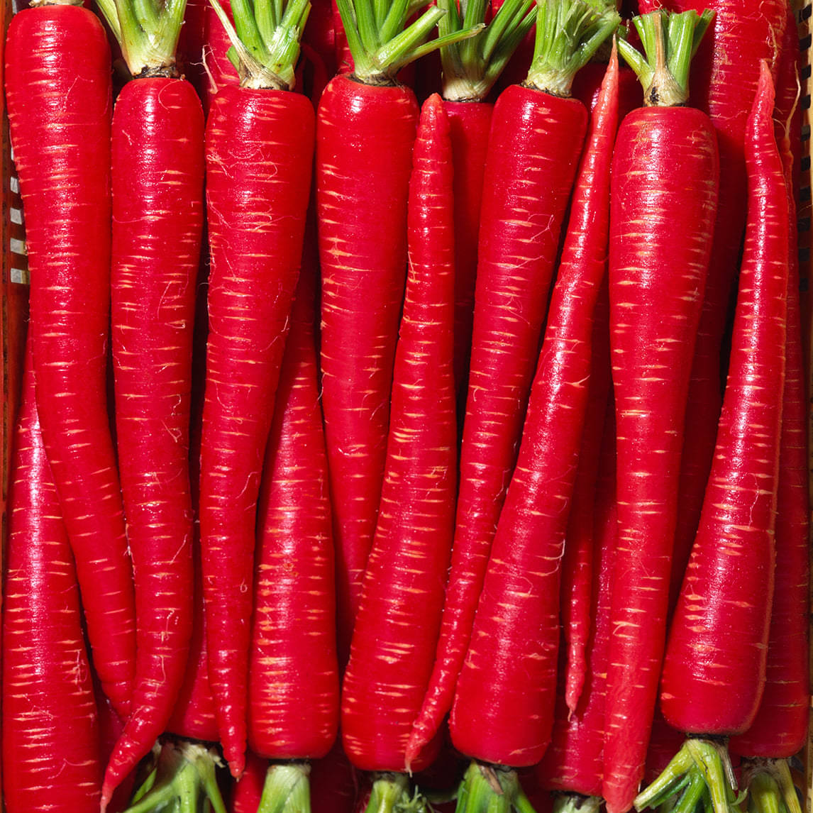 Jignisha Seeds Red Carrot Vegetable ( 50 Seeds ) Jignisha Seeds Red Carrot Vegetable ( 50 Seeds )