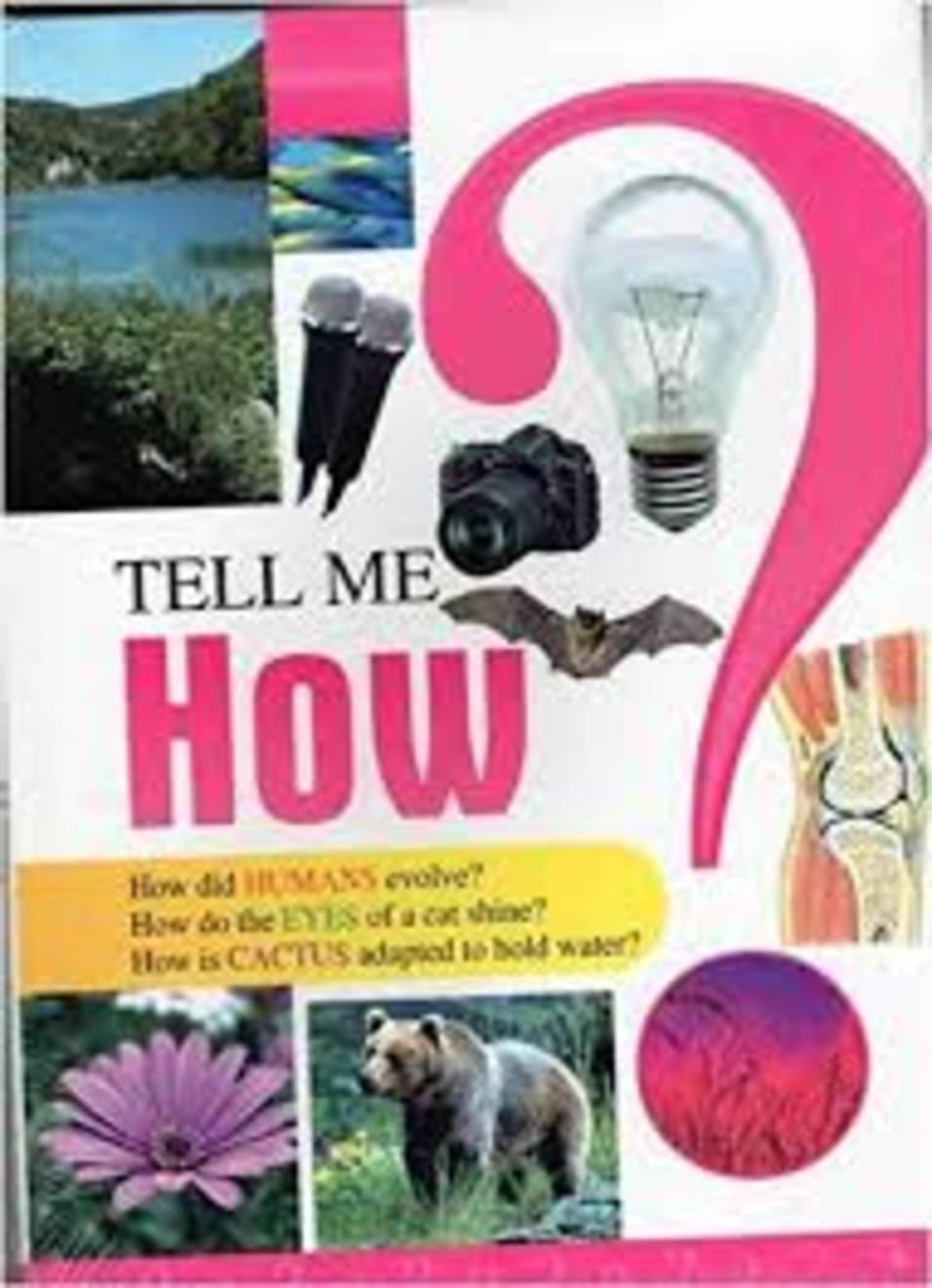    			Tell Me How? (English)