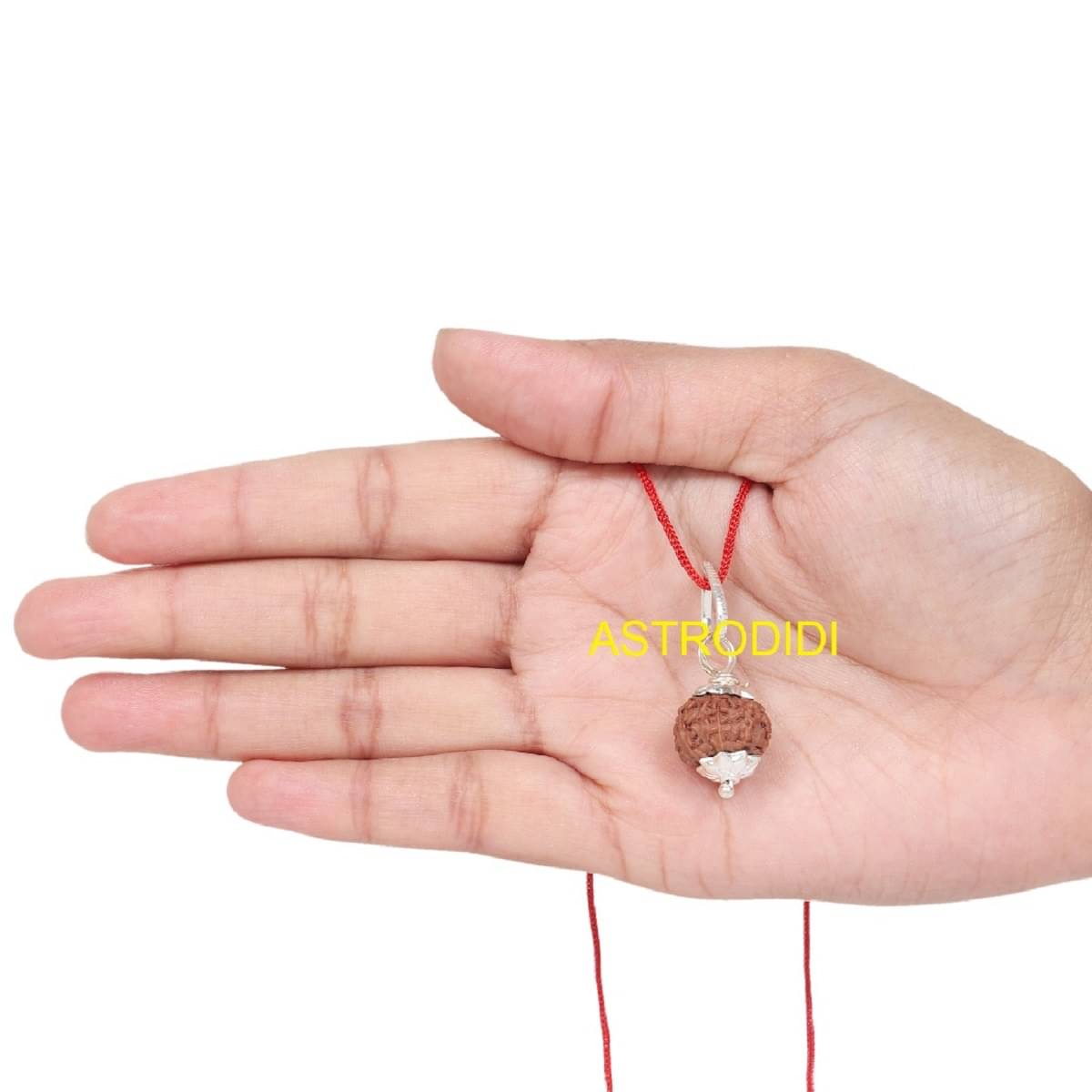 Astrodidi 7 Mukhi Rudraksha Java Indonesian Rudraksha Small Bead with Lab Report Astrodidi 7 Mukhi Rudraksha Java Indonesian Rudraksha Small Bead with Lab Report