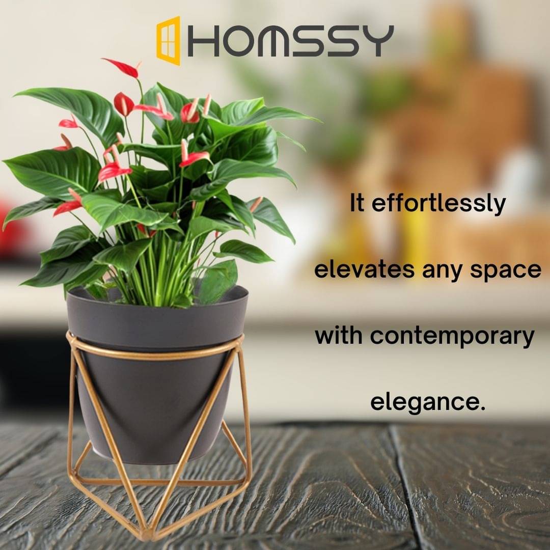     			HOMSSY Black Plant container ( Pack of 1 )