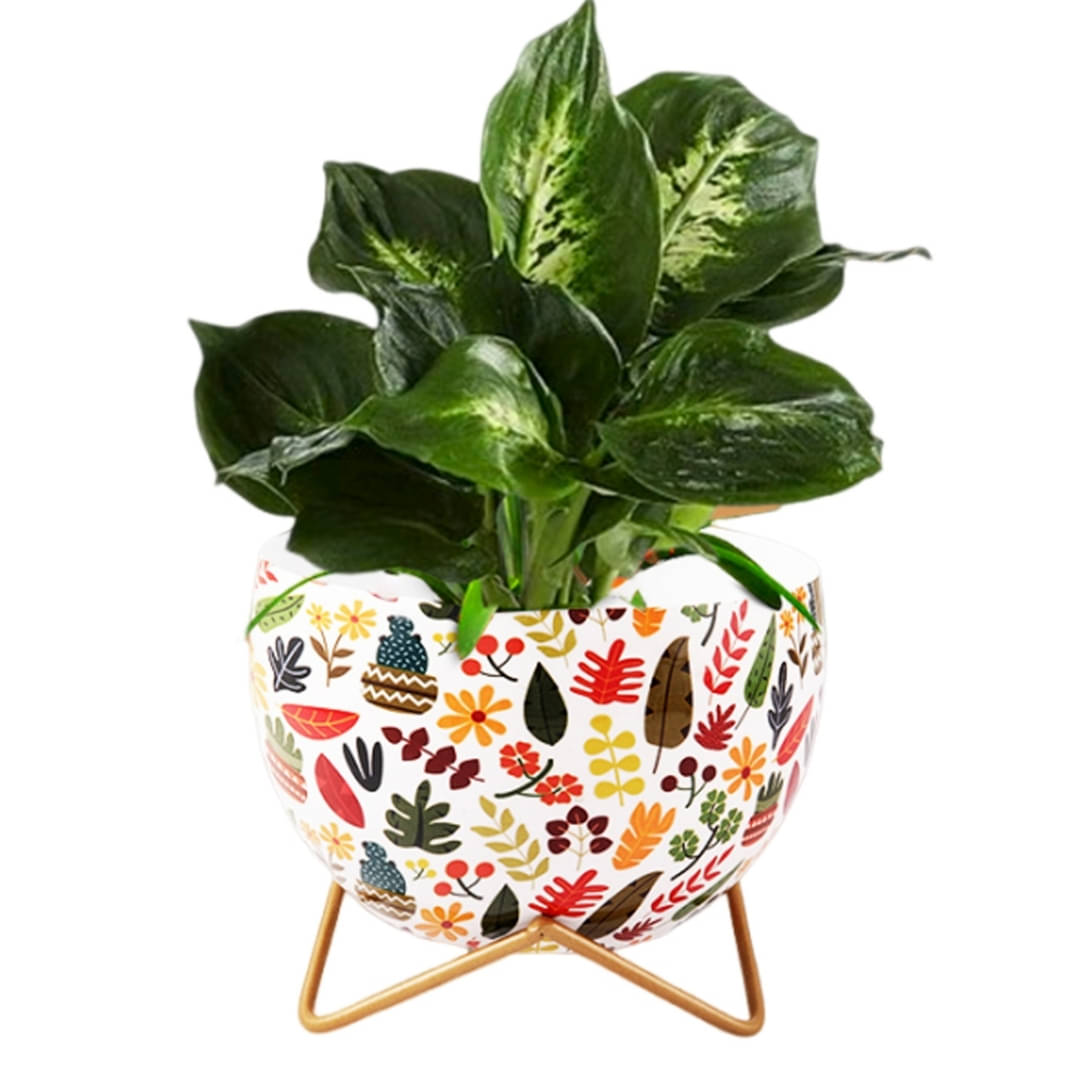     			HOMSSY Multicolor Metal Plant container ( Pack of 1 )