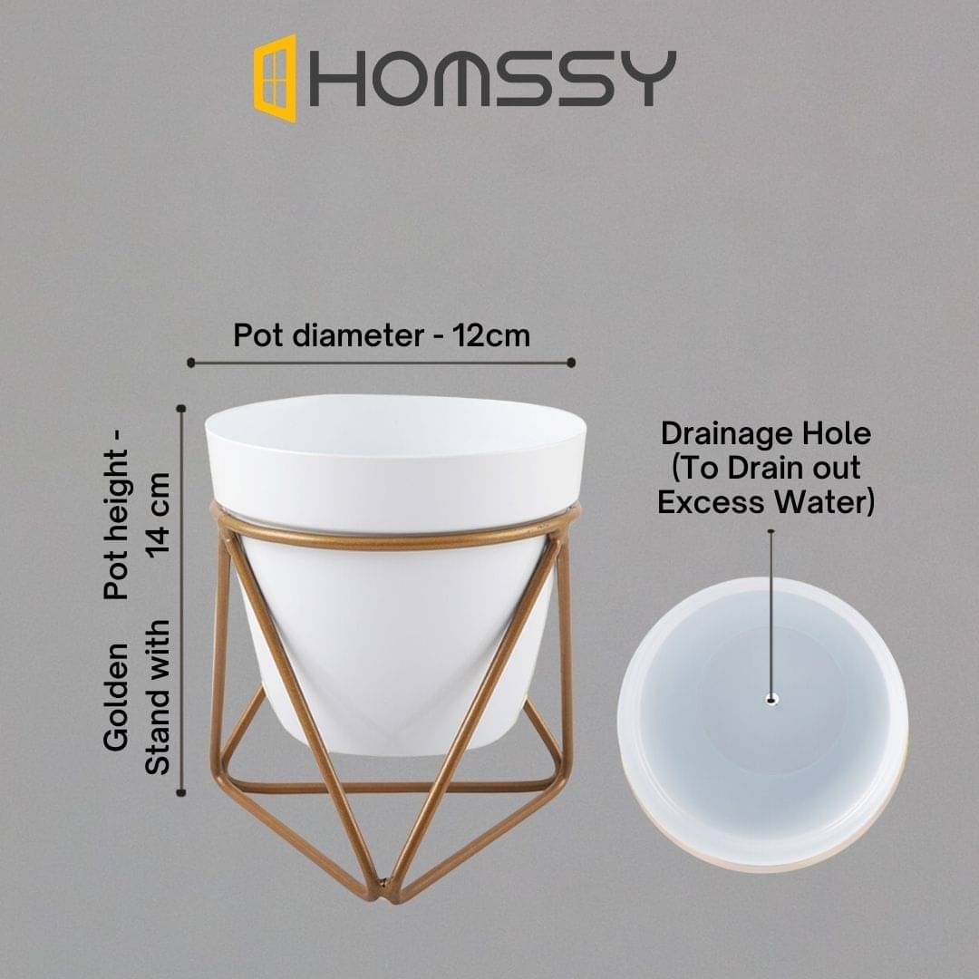     			HOMSSY White Plant container ( Pack of 1 )