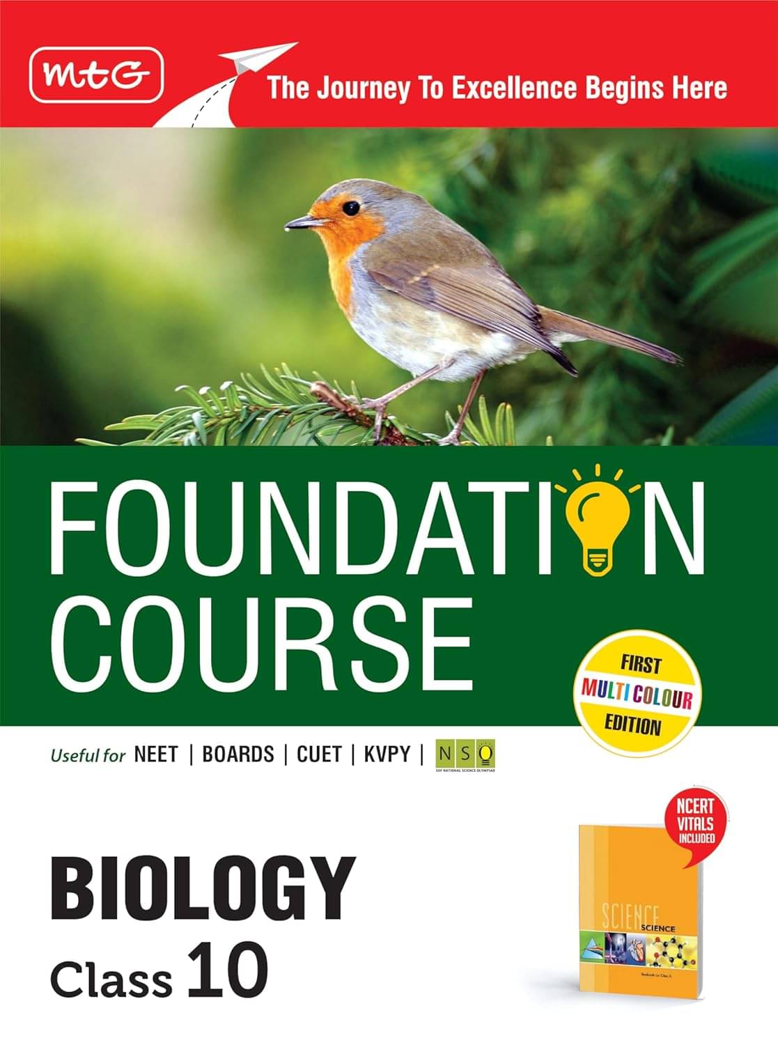 MTG Foundation Course Class 10 Biology Book (Edition 2025) For NEET, NSO Olympiad, CUET, KVPY & Boards Exam | Based on NCERT Latest Pattern MTG Foundation Course Class 10 Biology Book (Edition 2025) For NEET, NSO Olympiad, CUET, KVPY & Boards Exam | Based on NCERT Latest Pattern