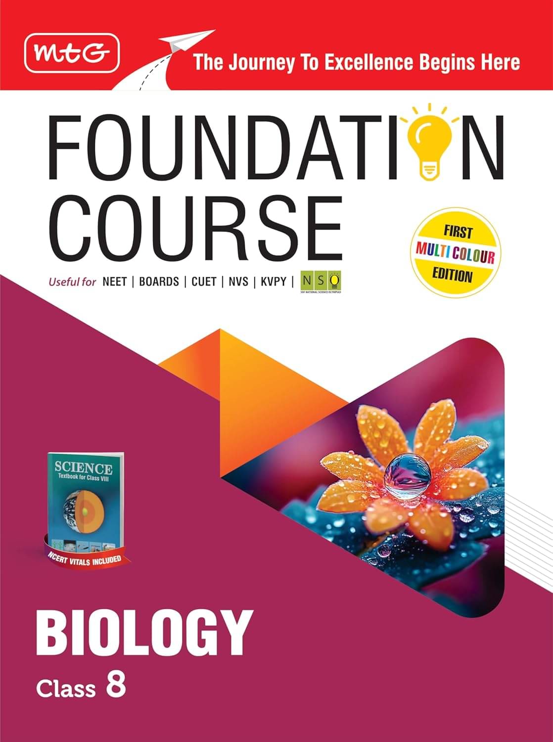 MTG Foundation Course Class 8 Biology Book (Edition 2025) For NEET, NSO Olympiad, CUET, NVS, KVPY & Boards Exam | Based on NCERT Latest Pattern MTG Foundation Course Class 8 Biology Book (Edition 2025) For NEET, NSO Olympiad, CUET, NVS, KVPY & Boards Exam | Based on NCERT Latest Pattern
