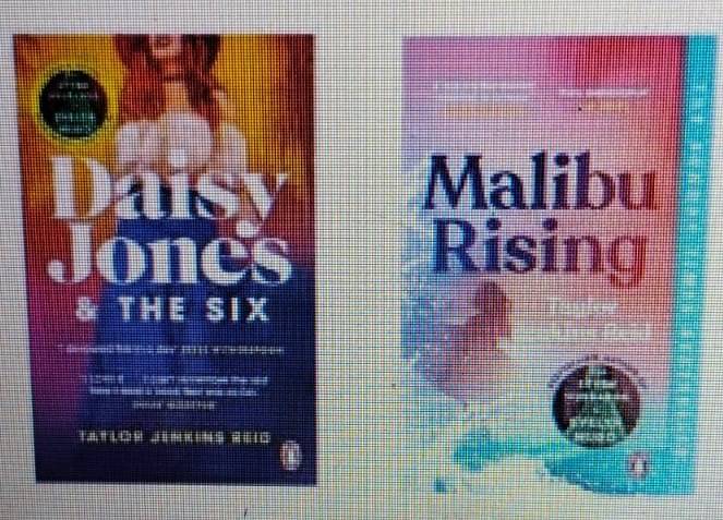     			Malibu Rising +  Daisy Jones  (Taylor Jenkins Reid)
