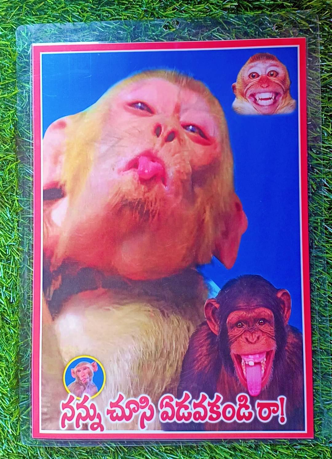     			DESHABOINA Plastic Multicolour Photo Frame Sets No. of Pieces- 1