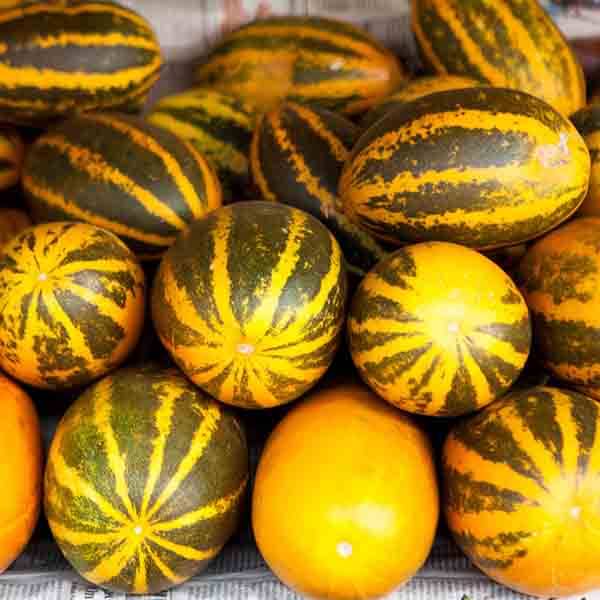 Jignisha Seeds Hybrid Sambhar Kakdi Vegetable ( 30 Seeds ) Jignisha Seeds Hybrid Sambhar Kakdi Vegetable ( 30 Seeds )